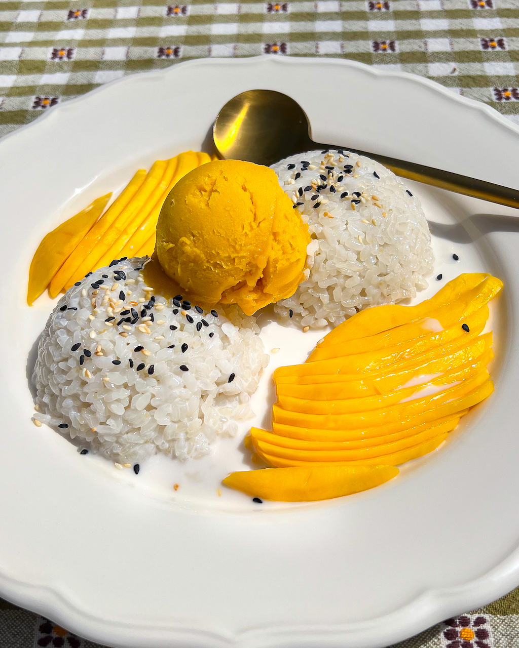 Mango Coconut Sticky Rice Dessert - BRIGHT MOMENT CO.